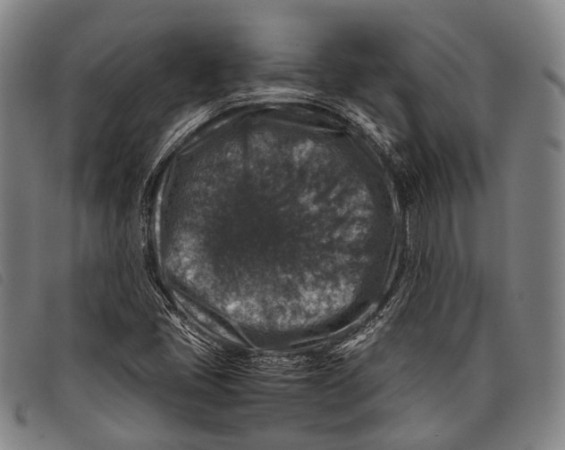 X0000097841405200804041433