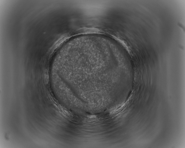 X0000097841407200804041433