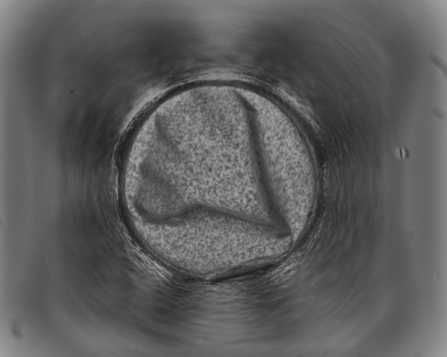 X0000097841408200804041433