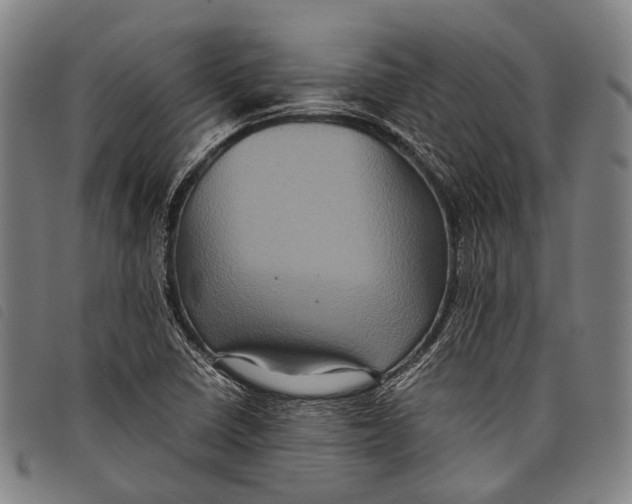 X0000097841410200804041433
