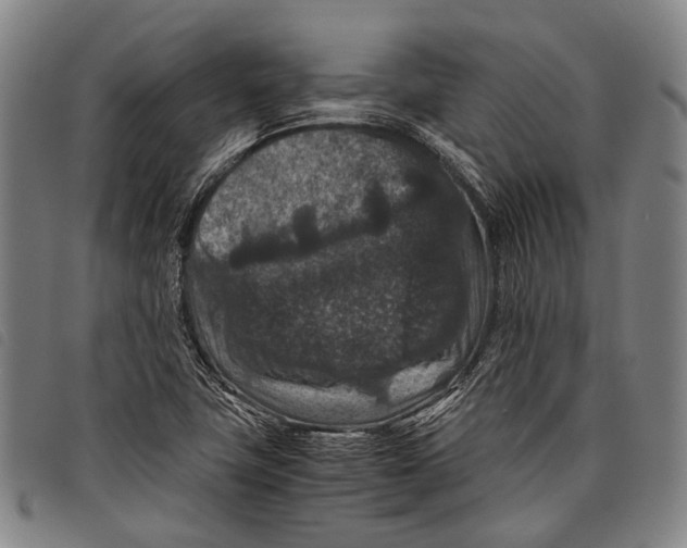 X0000097841411200804041433