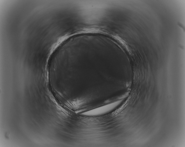 X0000097841414200804041433