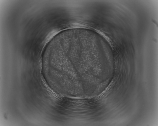 X0000097841415200804041433