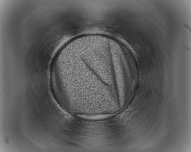 X0000097841416200804041433