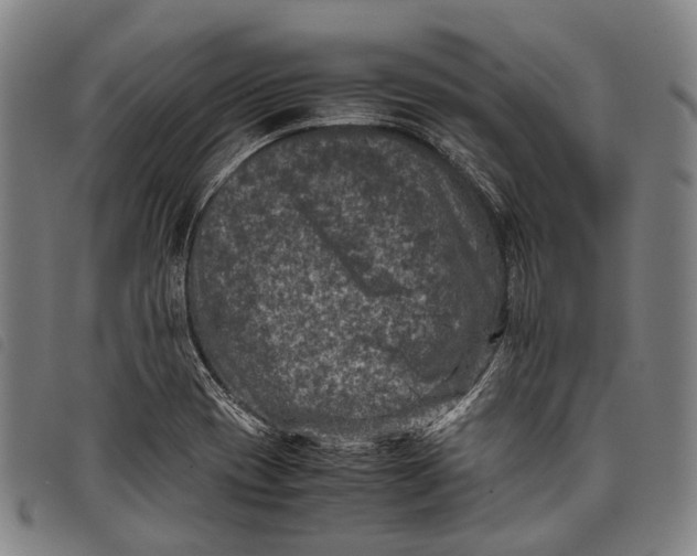 X0000097841417200804041433