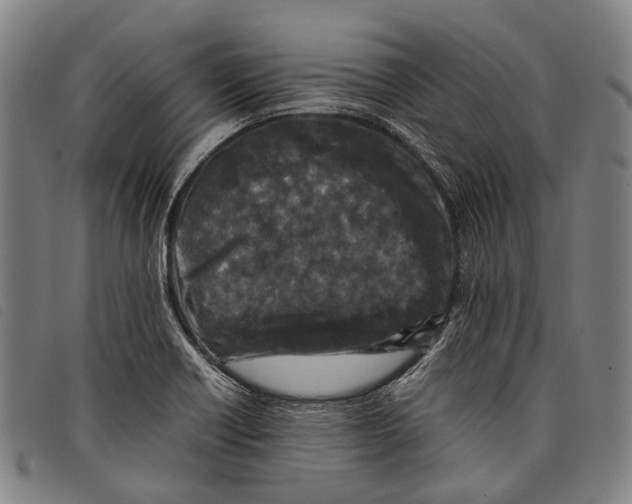 X0000097841418200804041433