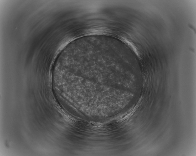 X0000097841419200804041433