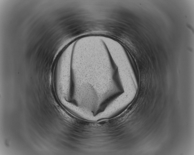 X0000097841420200804041433