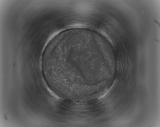 X0000097841421200804041433