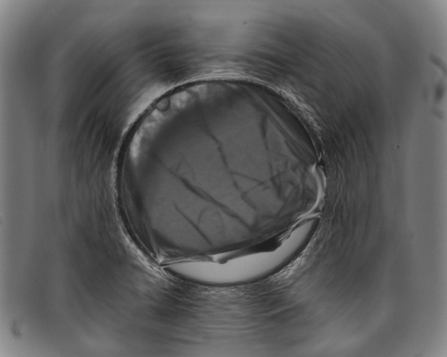 X0000097841422200804041433