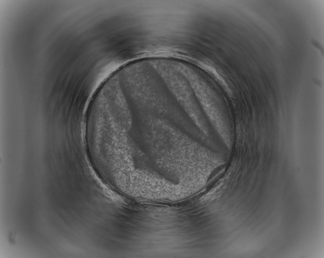 X0000097841424200804041433