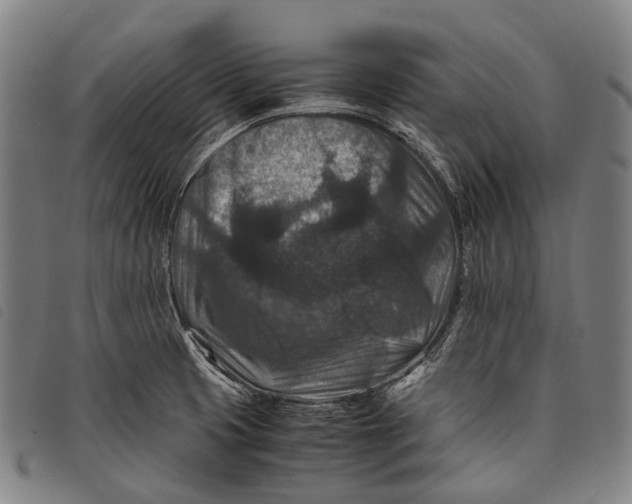 X0000097841425200804041433