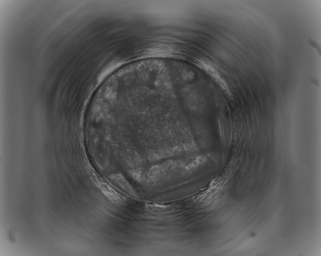 X0000097841427200804041433