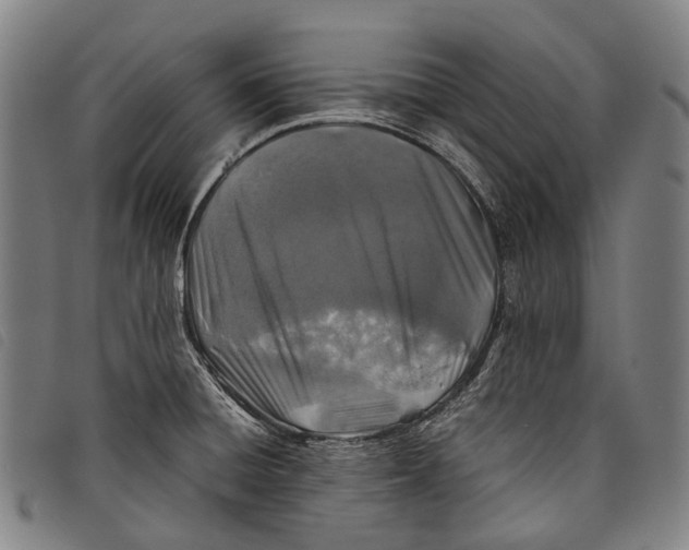 X0000097841428200804041433