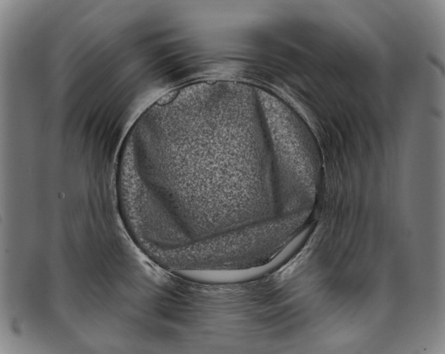 X0000097841434200804041433