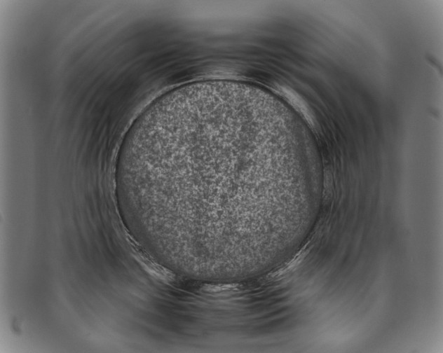 X0000097841435200804041433