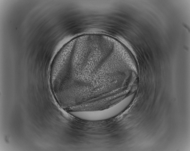 X0000097841437200804041433