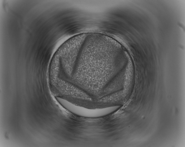 X0000097841440200804041433
