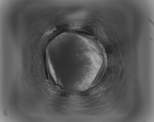 X0000097841441200804041433