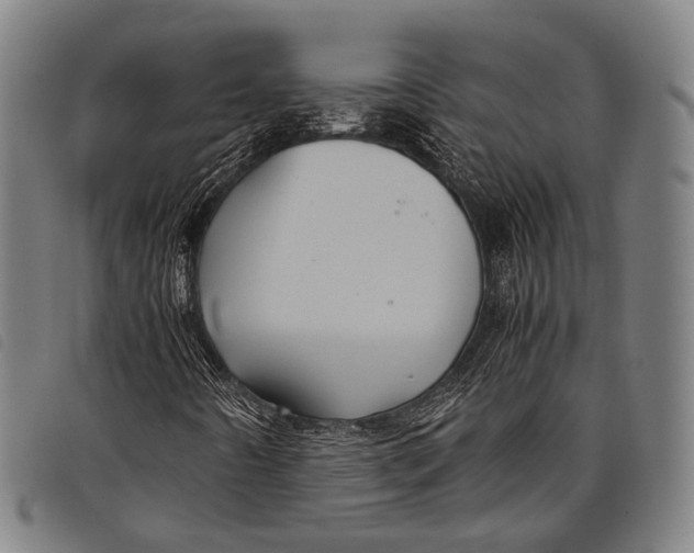 X0000097841442200804041433