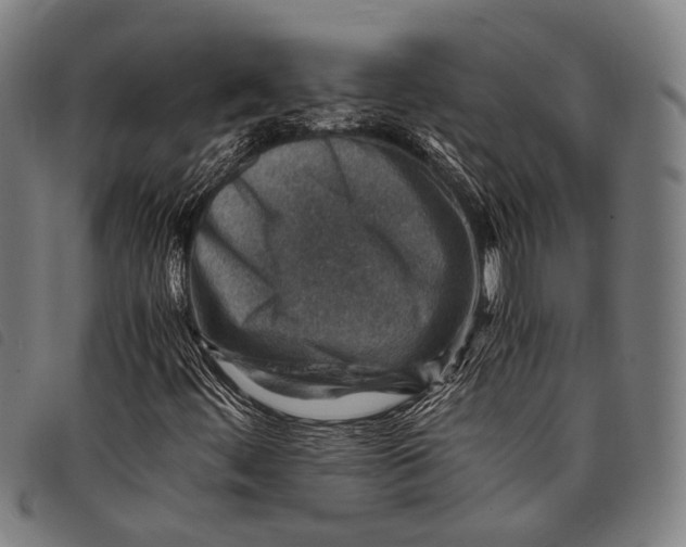X0000097841444200804041433