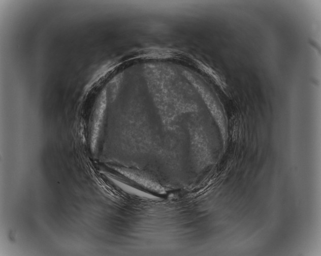 X0000097841448200804041432