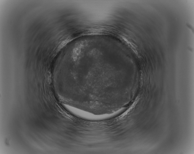 X0000097841449200804041432