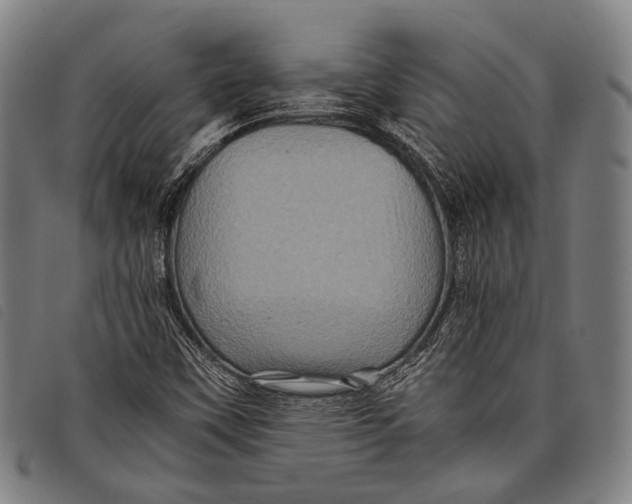 X0000097841451200804041432