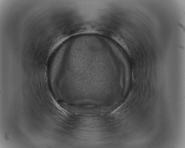X0000097841452200804041432