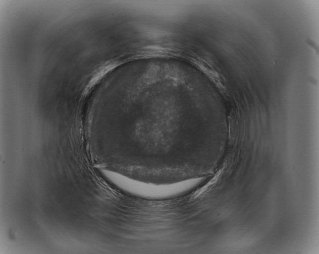 X0000097841453200804041432