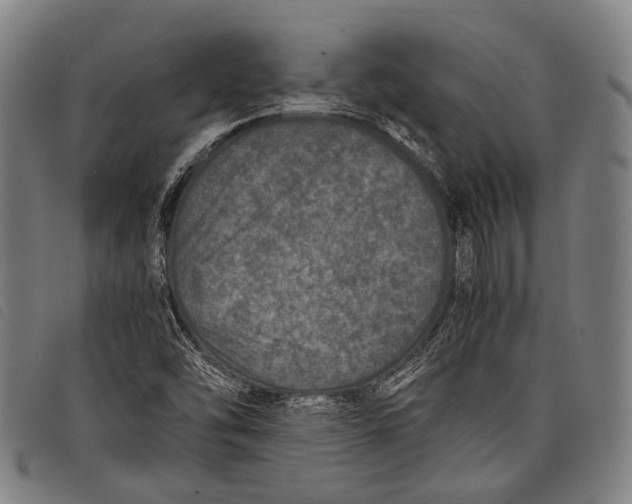 X0000097841454200804041432