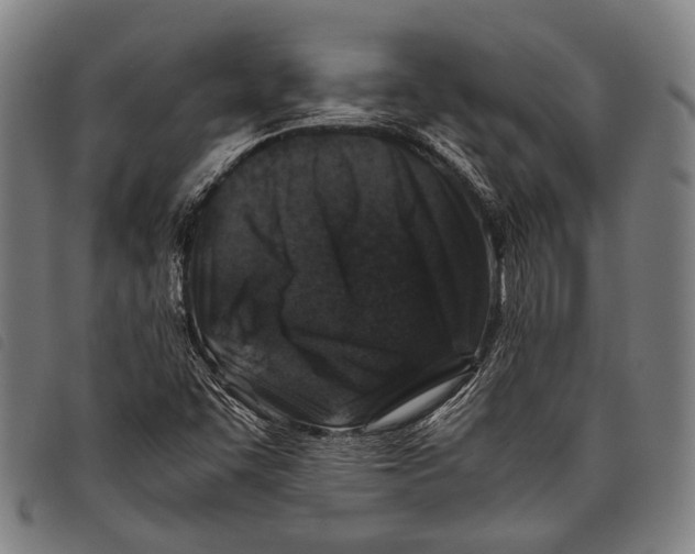 X0000097841455200804041432