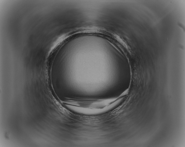 X0000097841456200804041432