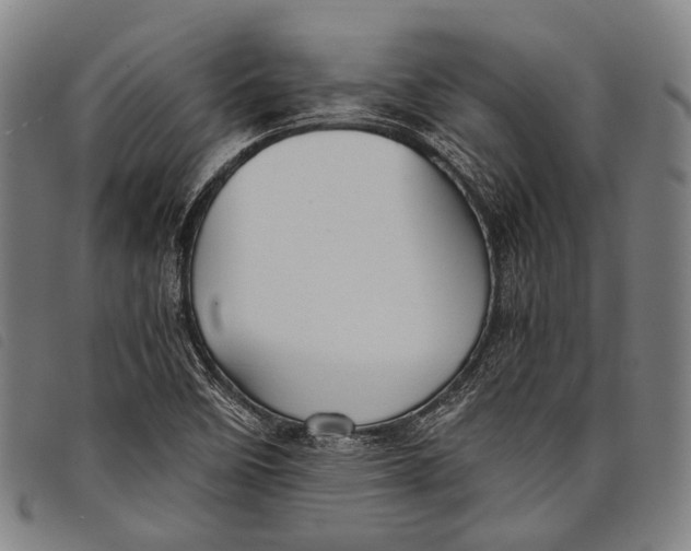 X0000097841458200804041432