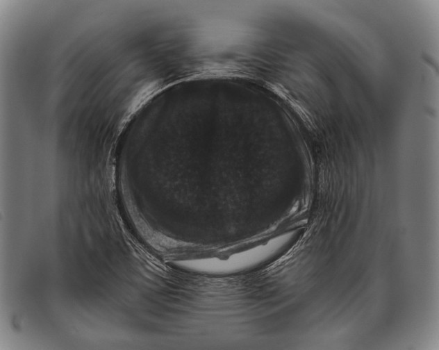 X0000097841459200804041432