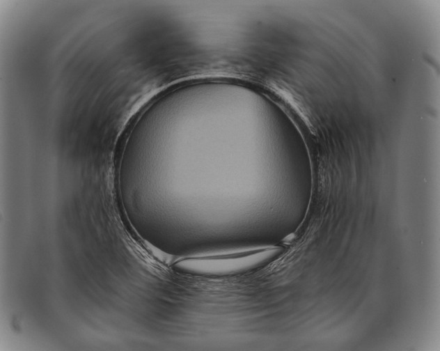 X0000097841460200804041432