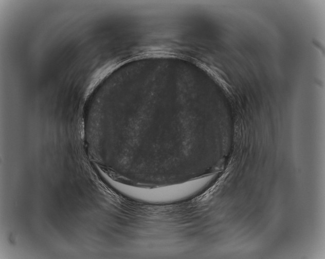 X0000097841461200804041432