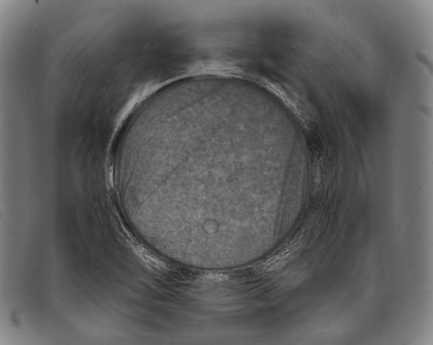 X0000097841462200804041432