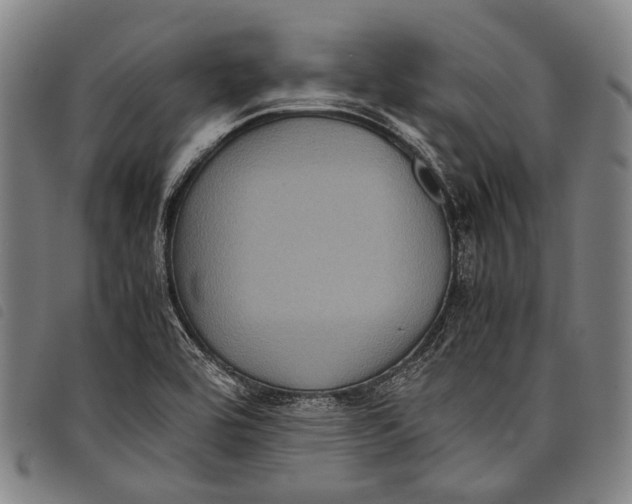 X0000097841464200804041432