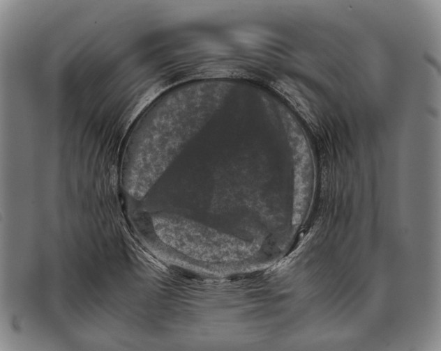 X0000097841465200804041432