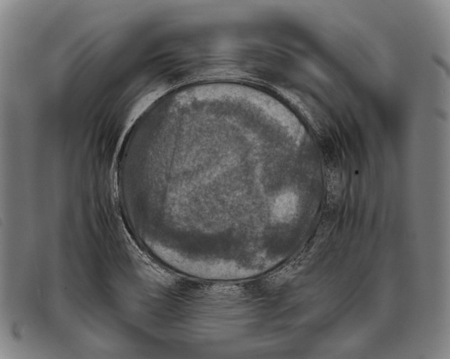 X0000097841466200804041432