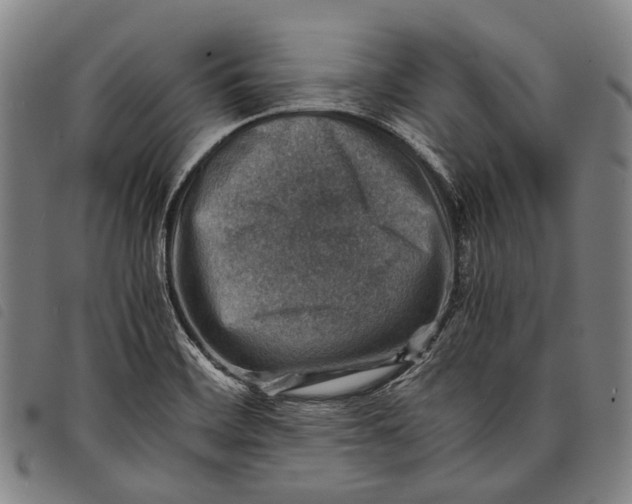 X0000097841468200804041432