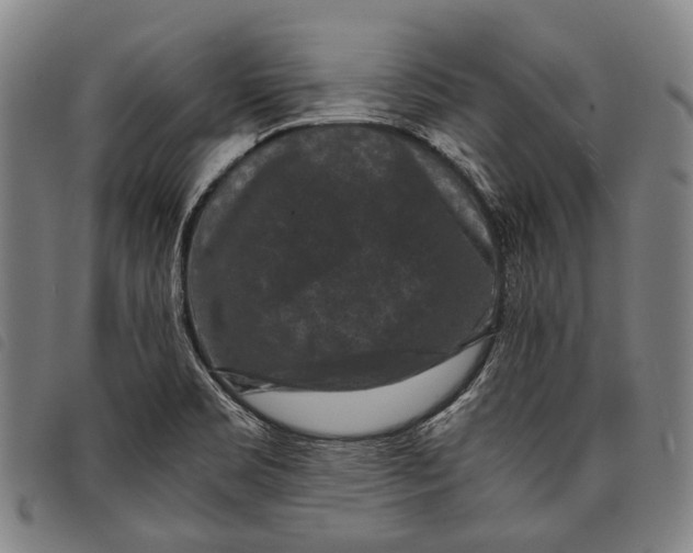 X0000097841469200804041432