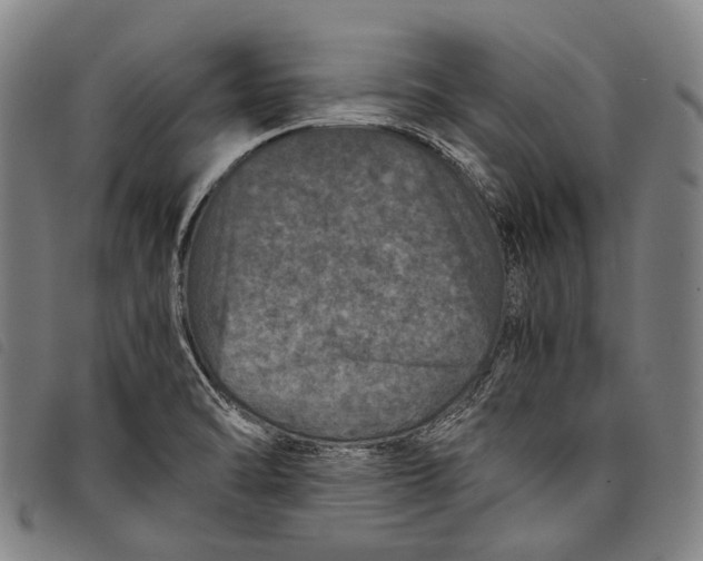 X0000097841470200804041432