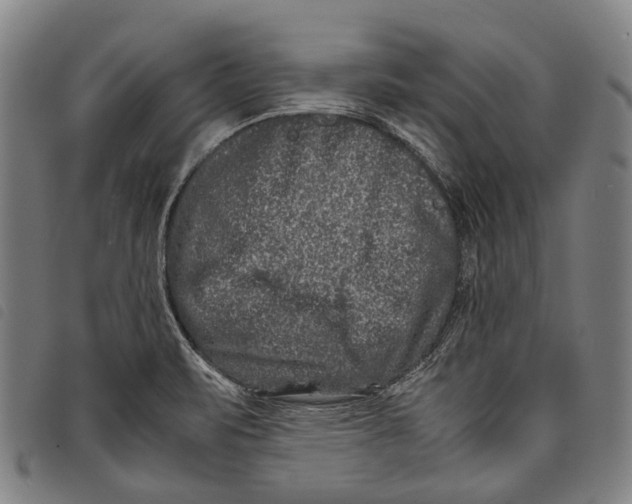 X0000097841471200804041432