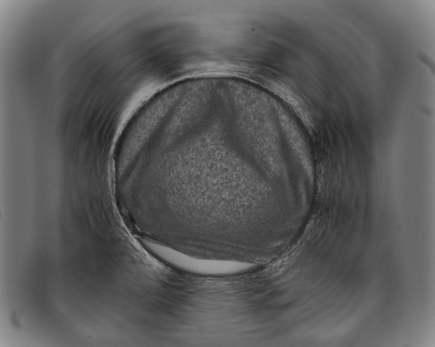 X0000097841472200804041432