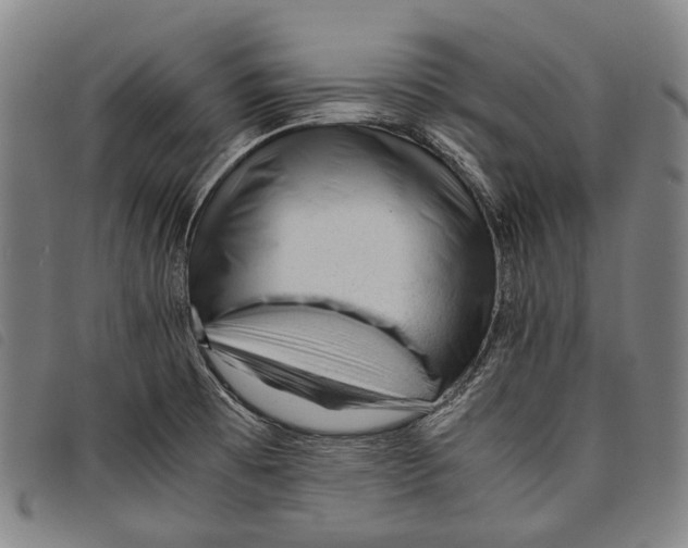 X0000097841473200804041432