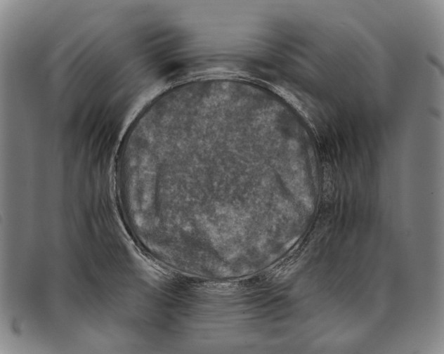 X0000097841474200804041432