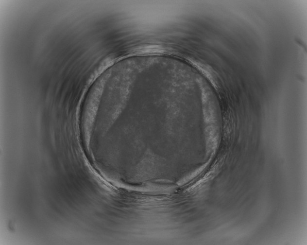 X0000097841475200804041432