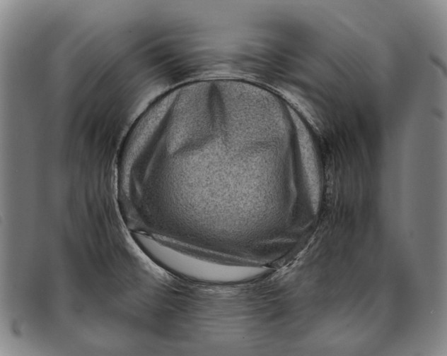 X0000097841476200804041432